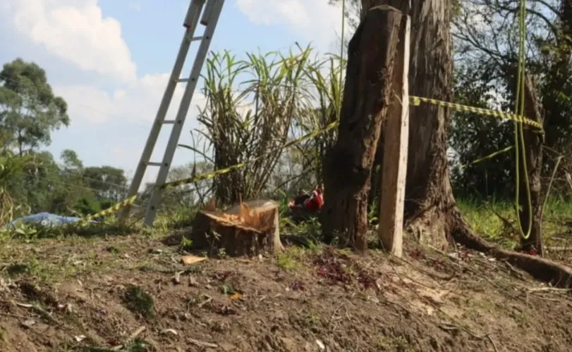 Homem morre eletrocutado ao realizar poda em árvore no PR