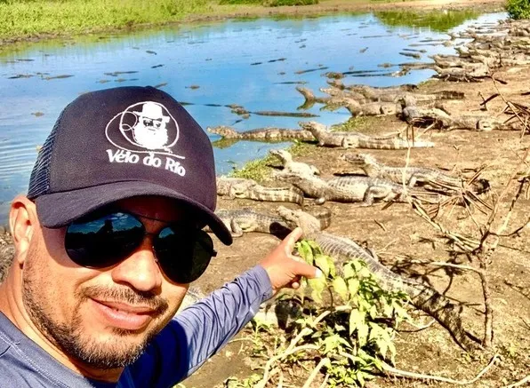 Homem pedala em meio a vários jacarés no Pantanal; Vídeo