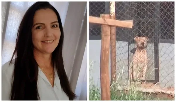 Mulher morre após ser atacada por seis pitbulls em chácara