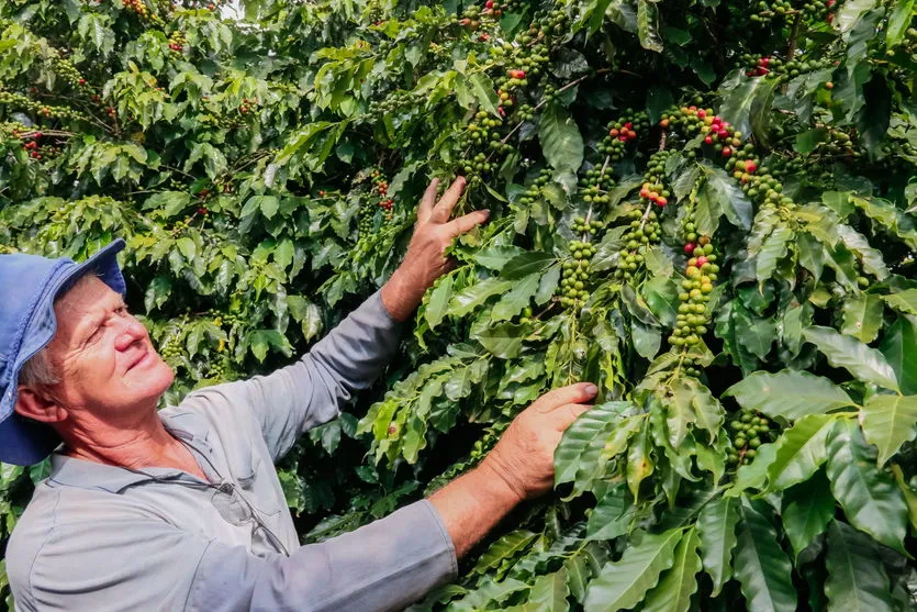 Prazo: taxa do Incra deve ser quitada até 18 de agosto