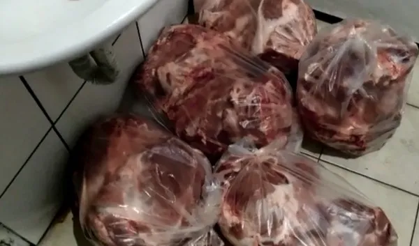 Toneladas de carne são apreendidas em centro clandestino