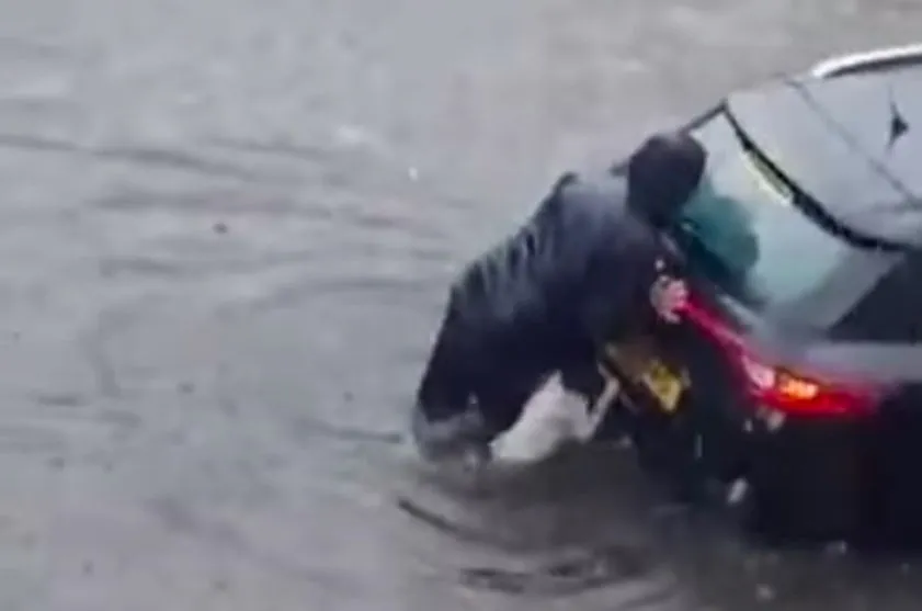 Vídeo: Cachorro 'ajuda' tutora empurrar carro em enchente