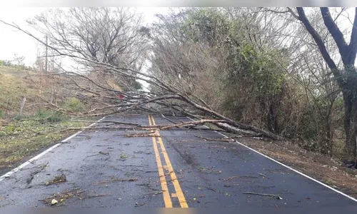 71 mil domicílios ficam sem energia após temporal no Paraná