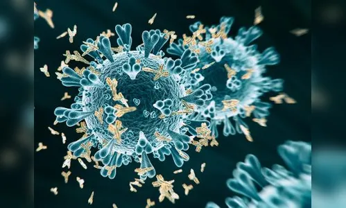 Apucarana confirma mais 1 óbito e 39 novos casos de Covid-19