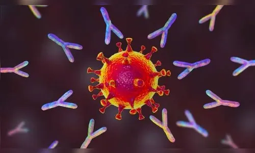 Apucarana confirma mais um óbito e 35 novos casos de Covid