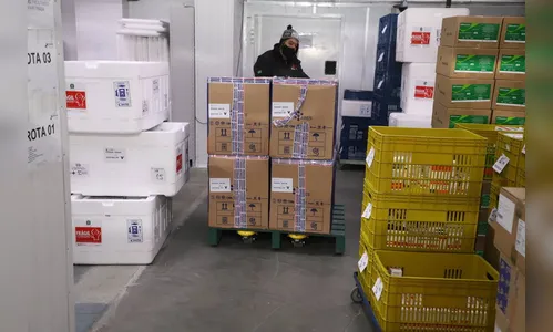 Apucarana recebe mais doses contra a Covid-19 nesta quinta