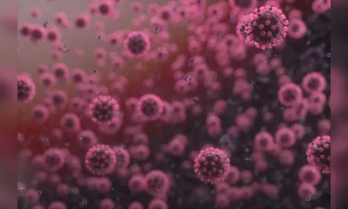 Apucarana registra 15 novos casos de Covid-19 neste domingo