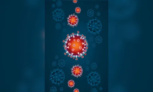 Apucarana registra mais 14 casos de coronavírus