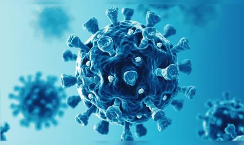 Apucarana registra mais 25 novos casos de Covid-19