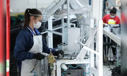 Apucarana registra números positivos na abertura de vagas