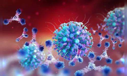 Arapongas confirma mais 14 casos de Coronavírus