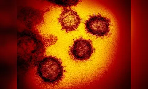 Arapongas confirma mais 15 casos de Covid-19