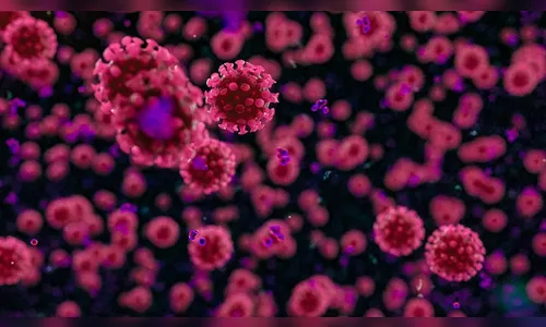 Arapongas registra 43 novos casos de Covid-19 e dois óbitos