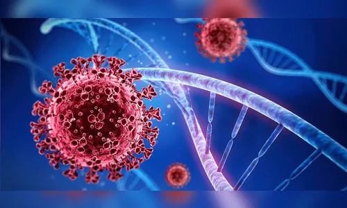 Brasil tem 19,7 milhões de casos e 551,8 mil mortes