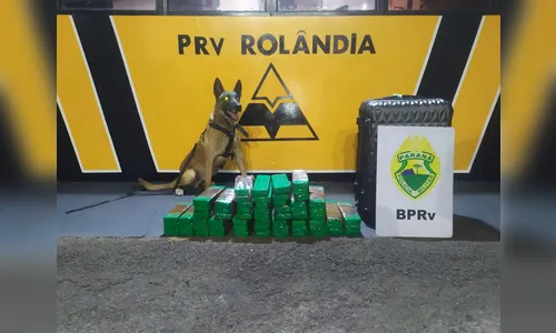 Casal com bebê é preso viajando com mala cheia de maconha