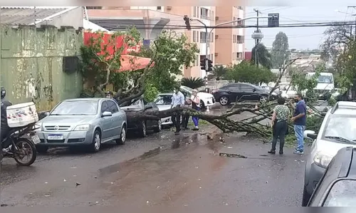 Chuva e ventos fortes causam estragos em Londrina