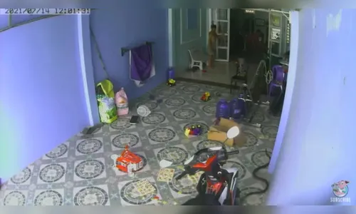 Cobra venenosa invade residência e tenta atacar bebê; Vídeo