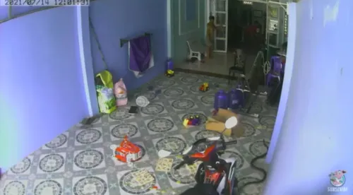 Cobra venenosa invade residência e tenta atacar bebê; Vídeo