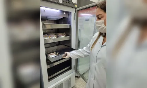 Com aumento de cirurgias, Hemonúcleo tem déficit de 34%