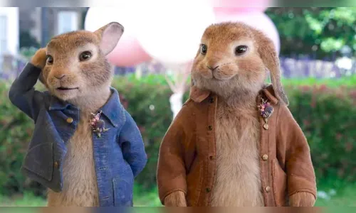 Confira a programação do cinema do CentroNorte