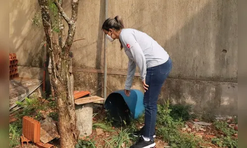 Controle de Endemias de Arapongas apresenta dados da dengue