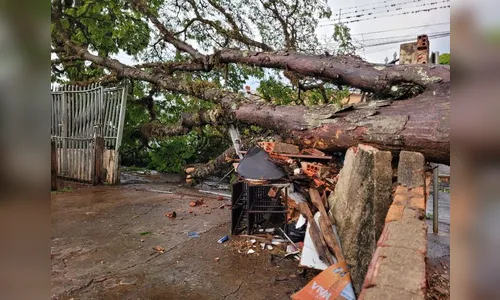Copel trabalha nas redes mais destruídas pelo temporal