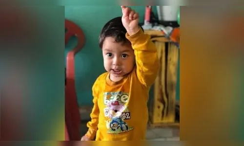 Criança morre após ser picada por animal peçonhento