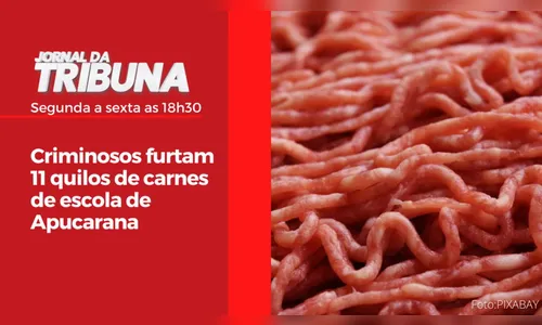Criminosos furtam 11 quilos de carnes de escola de Apucarana