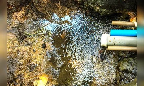 Dia do Agricultor é marcado pela restauração de nascente