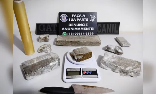 GAT: cão Zeus encontra drogas e rapaz é preso por tráfico