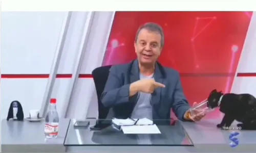 Gata invade jornal ao vivo e viraliza na web