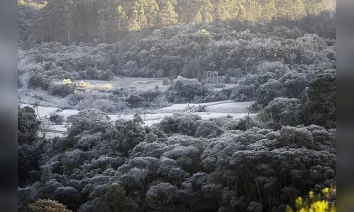 Geada Negra não está descartada para o fim de julho