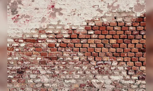 Homem descobre construção em seu terreno e chama PM