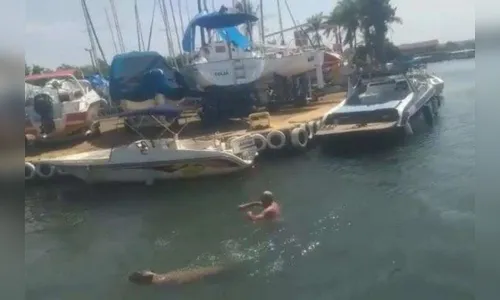 Homem é atacado por capivara no Lago Paranoá; vídeo