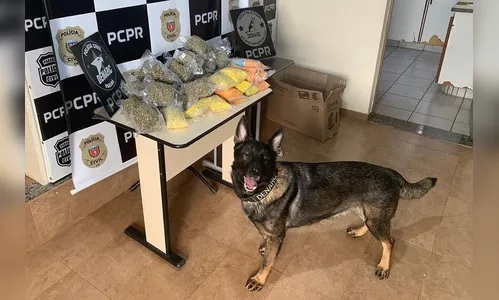 Homem é preso com mais de 12 mil comprimidos de ecstasy