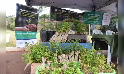 IAT distribui mudas nativas em Ivaiporã em troca de doações