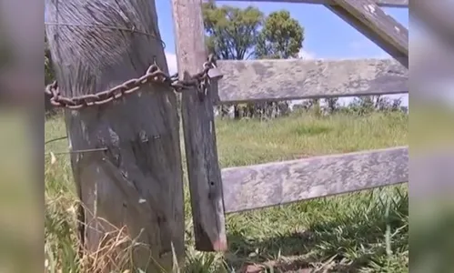 Ladrões invadem chácara, abatem boi e levam a carne