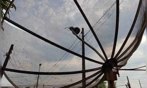 Homem tenta enganar idosa para furtar parabólica da casa