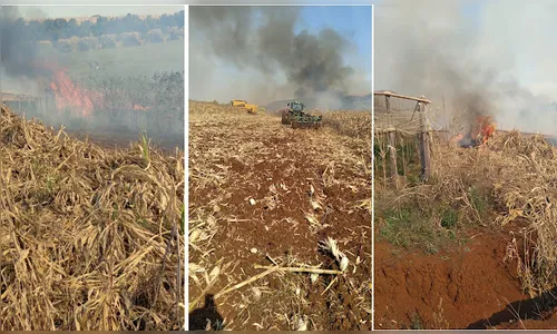 Incêndio em vegetação fica sem controle em Lidianópolis