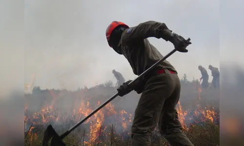 Incêndios ambientais mobilizam Bombeiros de Apucarana