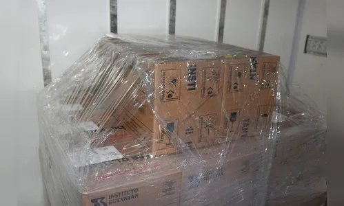 Lote de vacinas que viria para o Paraná retorna para SP
