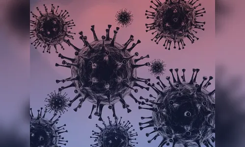 Mais 24 casos de Covid-19 foram confirmados em Apucarana