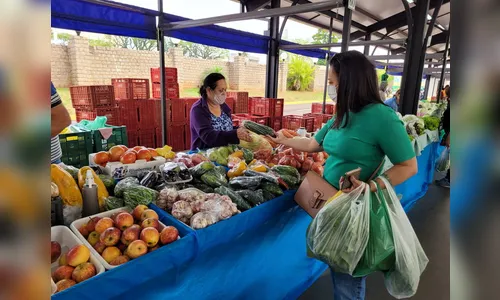 Mais caro: preço das hortaliças dispara em Apucarana; veja