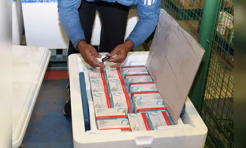 Ministério da Saúde confirma mais 324,9 mil vacinas ao PR