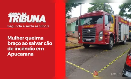 Mulher queima braço ao salvar cão de incêndio em Apucarana