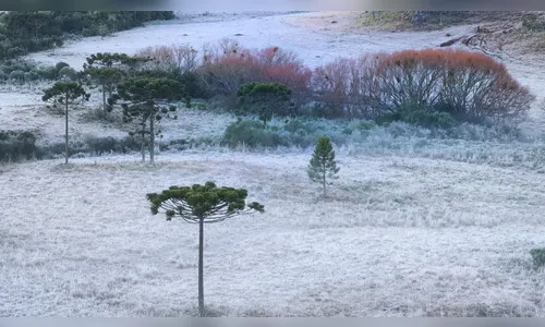 Defesa Civil emite nota sobre massa de ar polar no Paraná