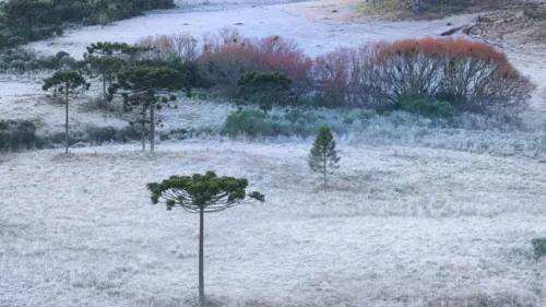 Na próxima semana uma massa de ar polar trará temperaturas mais baixas no PR