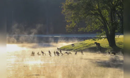 Nova frente fria deve chegar a partir desta quarta-feira