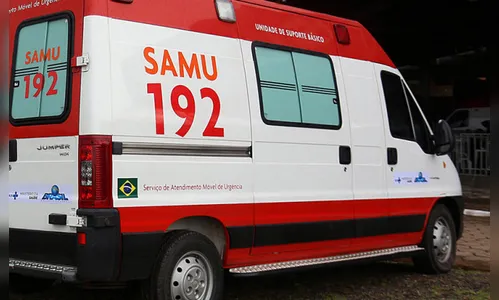 Homem é atingido por tronco de árvore durante poda