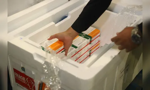 PR recebe 325.660 doses para vacinação contra Covid-19